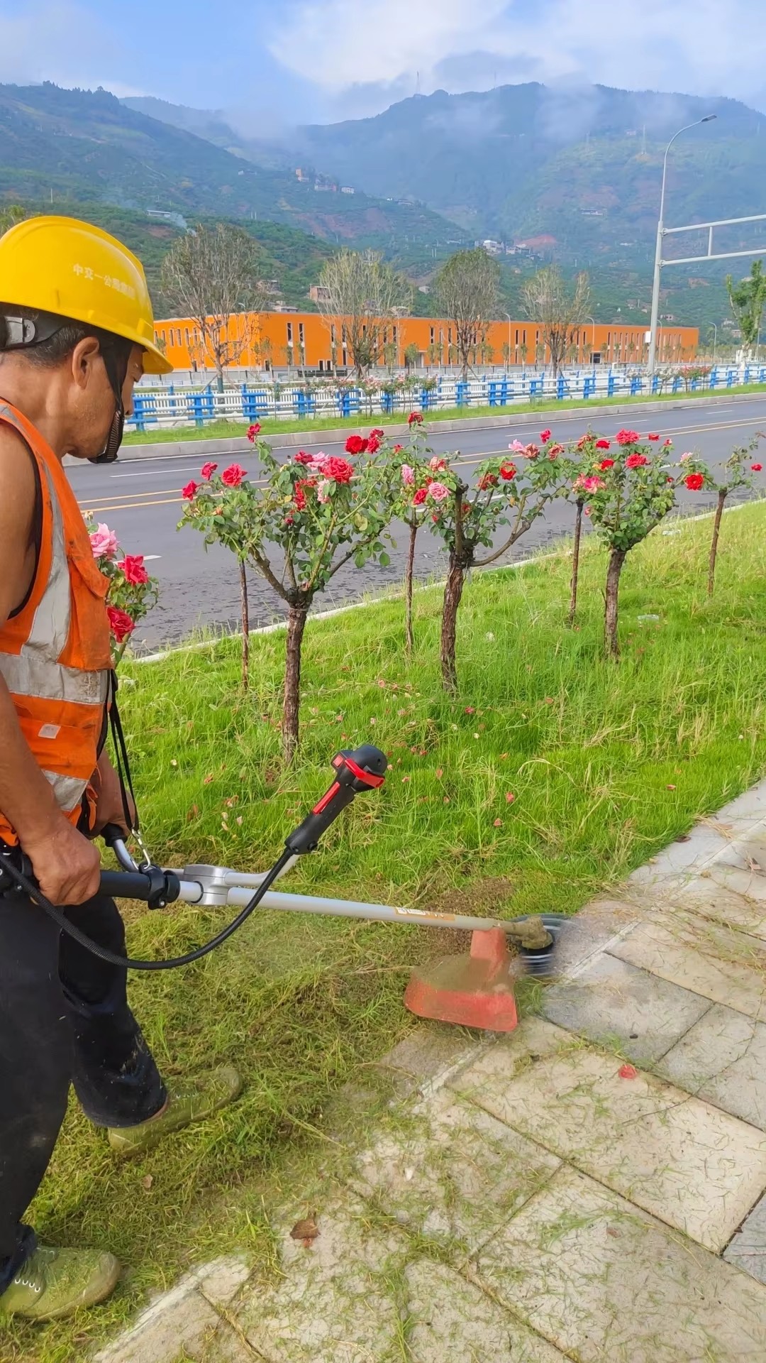Cross-border Two-stroke Gasoline Lawn Mower Multi-functional Small Garden Weeder Side-handle Type High-power Brush Cutter