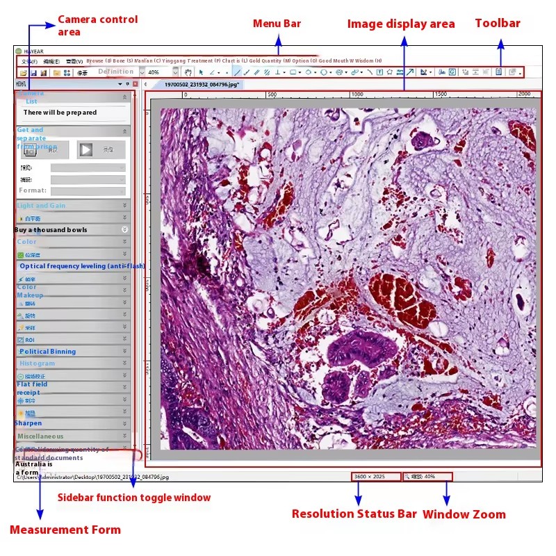 HD Sana Electronic Digital Microscope with 5 Million Pixels 30 Frame Industrial Camera USB Interface Free Shipping