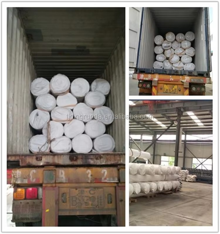 Geomembrane 0.5mm HDPE Geomembrane Liner Low Prices