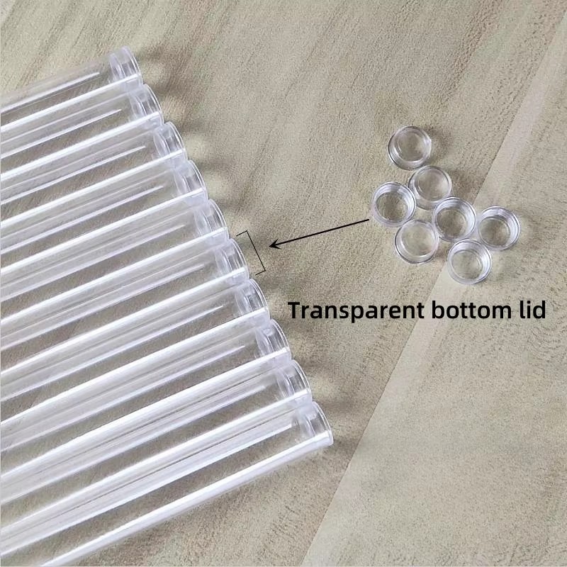 Custom Clear Cylindrical PC Packaging Tubes with End Caps (12mm-30mm Diameter) for Gift Display and Storage