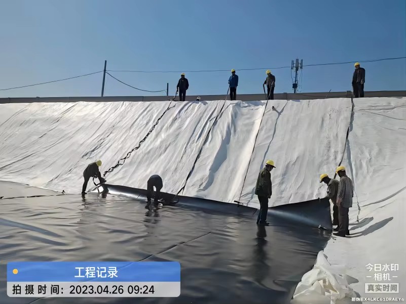 HDPE LDPE LLDPE Geomembrane Geotextile Membrane Fish Pond Plastic Fish Pond Plastic