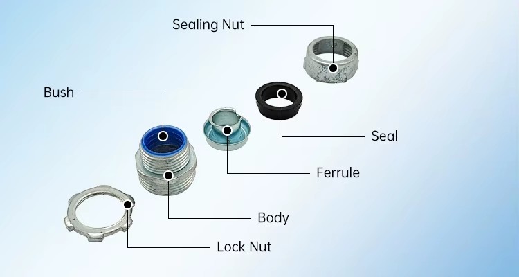 Product detail