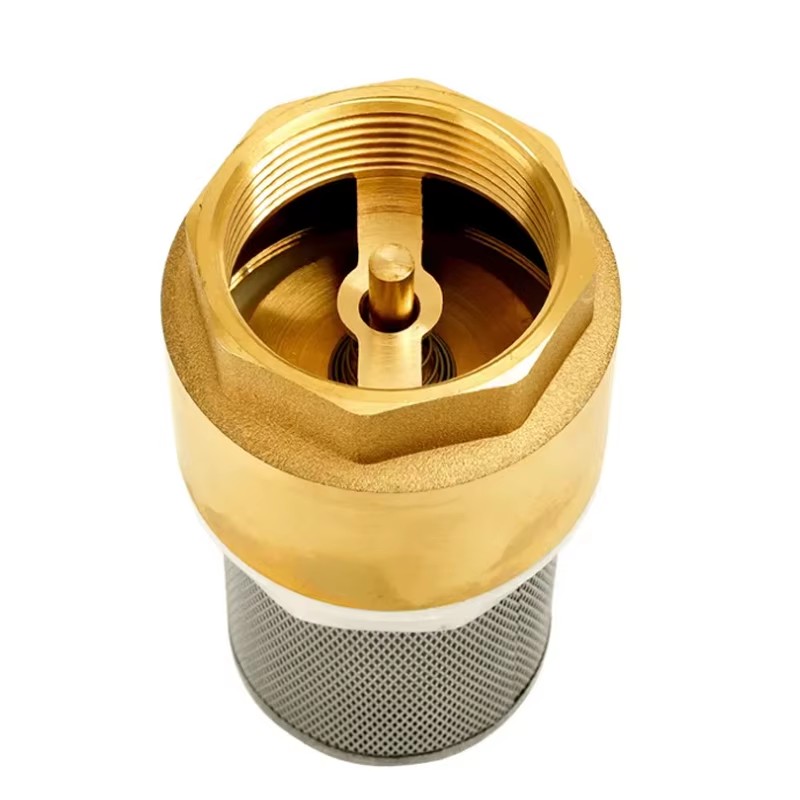 1/2 to 2" 3" 4" Monobloque and Removable Forged Brass Check Valve Non-return Spring Valve