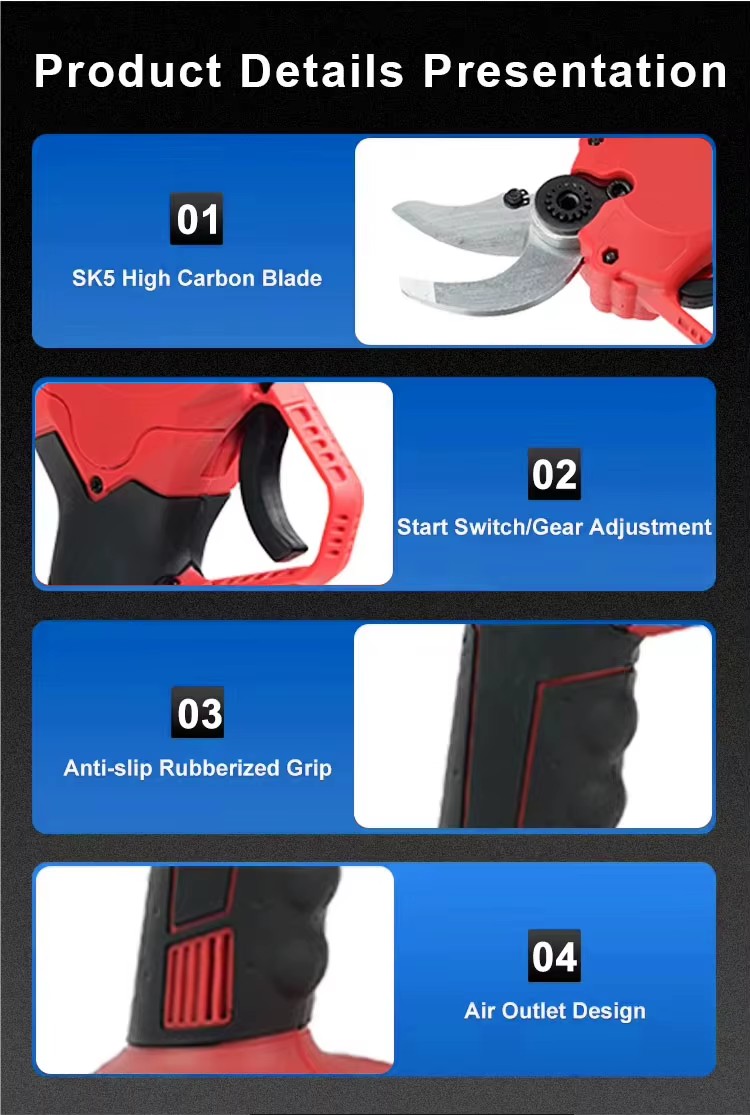 Product detail