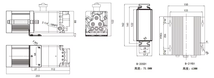 Speedmax Electric Motor Water Pump