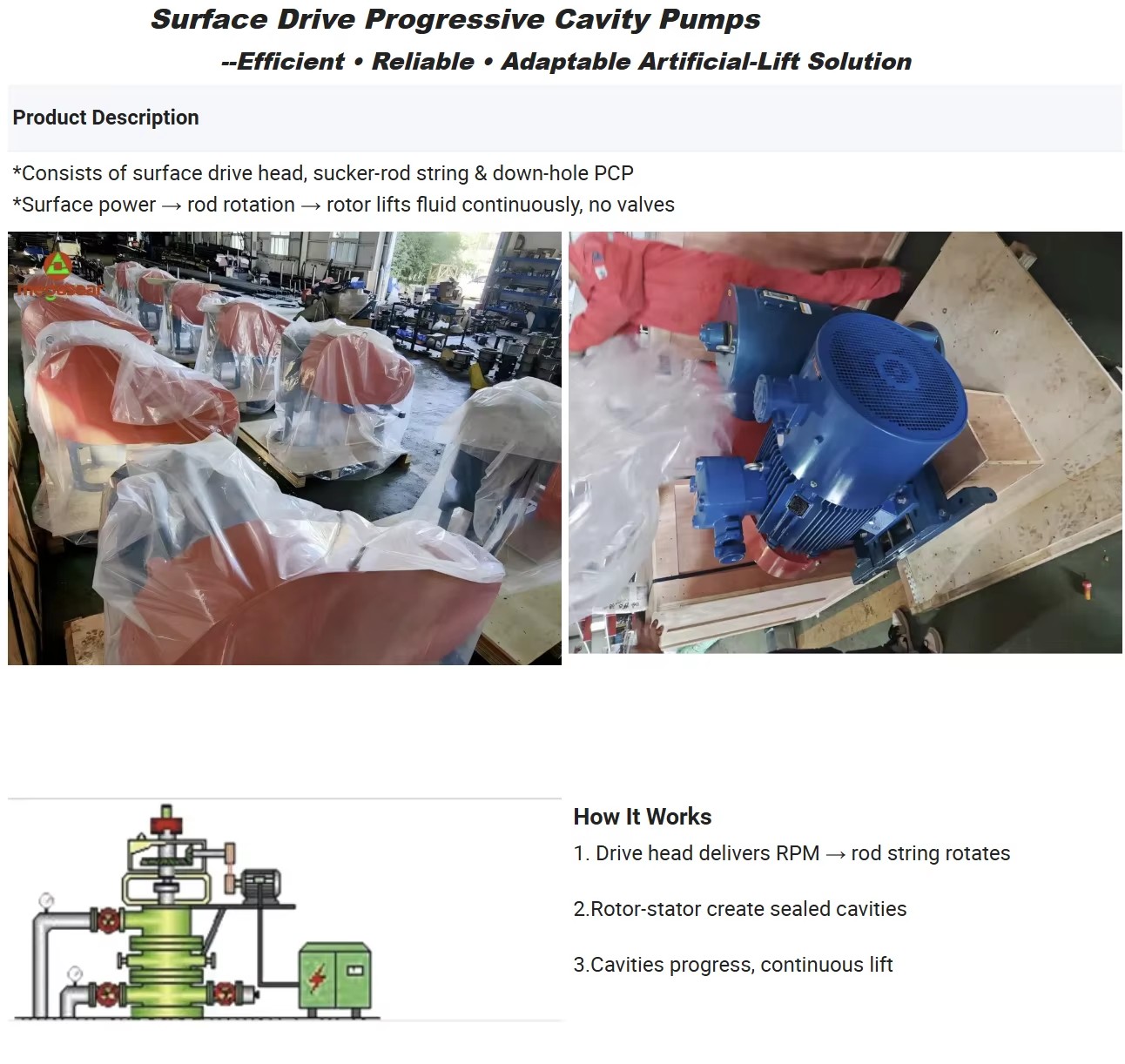 Product detail