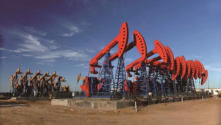Rotaflex Pumping Unit