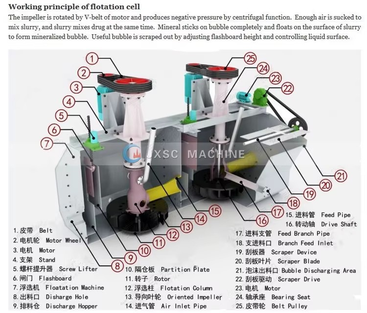 Product detail