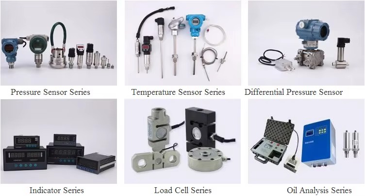 PPM-T314A Stainless Steel Pressure Transmitter Special Design for Oil Fields High Temperature Pressure Sensor