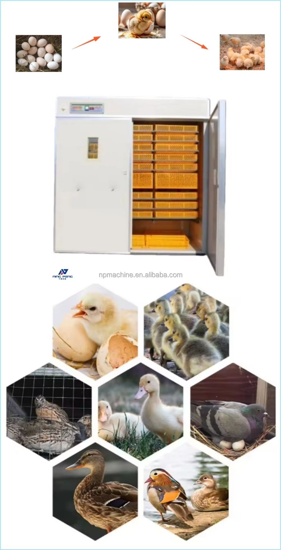 10000 Egg Capacity Automatic Egg Incubator Machine for Chicken & Duck 99% Hatching Rate Energy Saving NP Brand