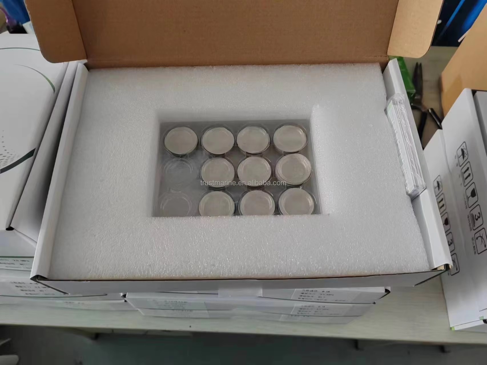 Customized Small Size Bursting Rupture Disc for Oil & Gas, Chemical, Fire-Fighting Equipment