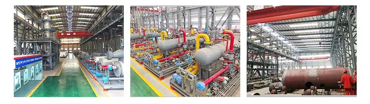 Skid Mounted LNG Plant LNG Plant Skid LNG Gas Plant for Sale