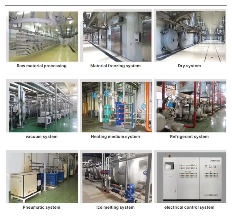 Energy Saving Automatic 150kg Industrial Freeze Dryer Low Noise Multifunctional Food Processing Equipment SUS304 Stainless Steel