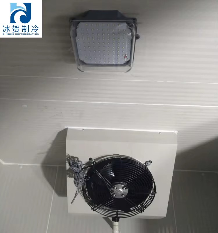 Commercial Retail Solution | Energy-Saving | Professional Equipment Laboratory Ultra Low Freezer | Professional