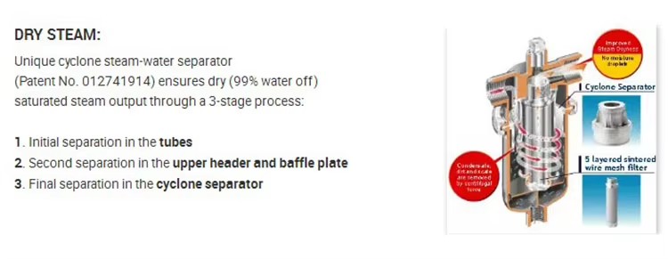 Industrial Stainless Steel Automatic LPG Nature Gas Diesel Oil Fired Food Beverage Steam Boiler Machine
