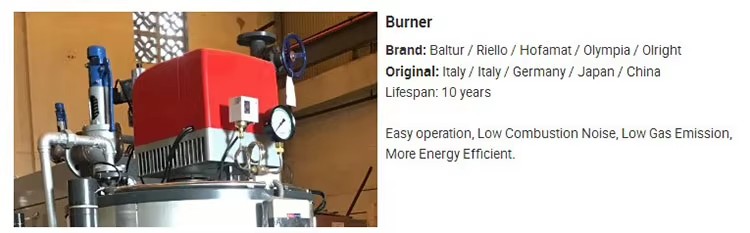 Industrial Stainless Steel Automatic LPG Nature Gas Diesel Oil Fired Food Beverage Steam Boiler Machine