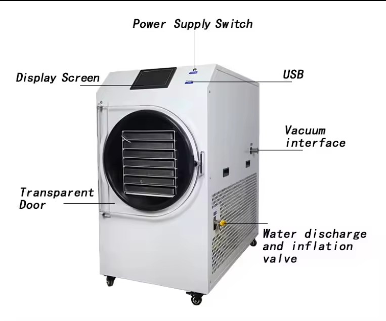 Industrial fruit and vegetables freeze dryer vacuum good price small freeze dryer machine