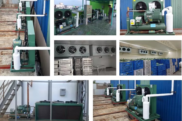 Energy-Saving Air Cooled Low Temperature Condensing Unit Refrigeration Compressor Condensing Unit