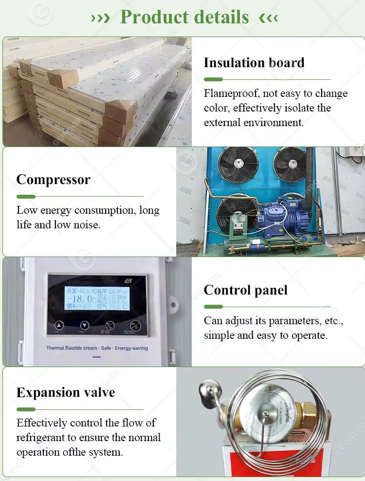 Freezer Storage Machine Commercial Use Customizable Size Energy Saving Motor Walk-in Refrigerator Unit
