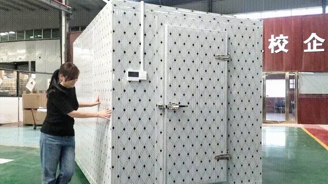 Energy Saving Freezing Chamber Air Cooled System Large Cold Room Storage Cold Room Refrigeration Unit