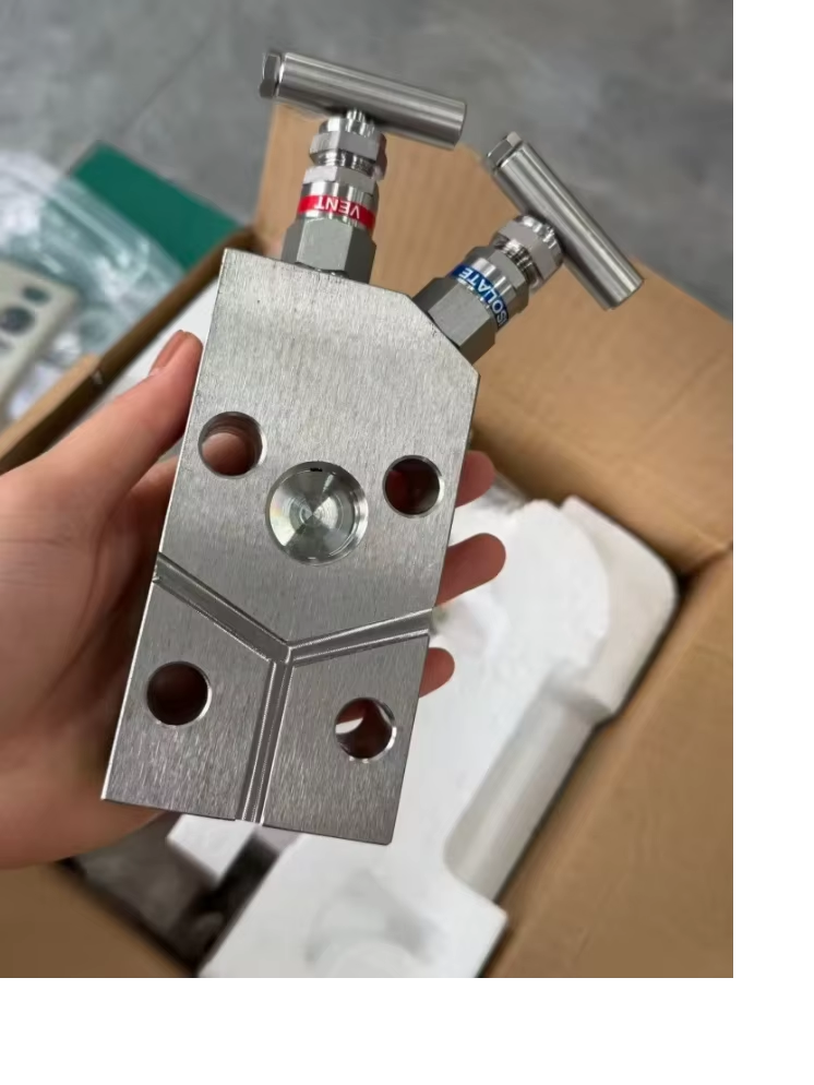 100% Original Rosen-mounts 2-Valve Manifold 316 Stainless Steel 413Bar High Pressure 1/2-NPT T-Handle Instrument Manifold Valve