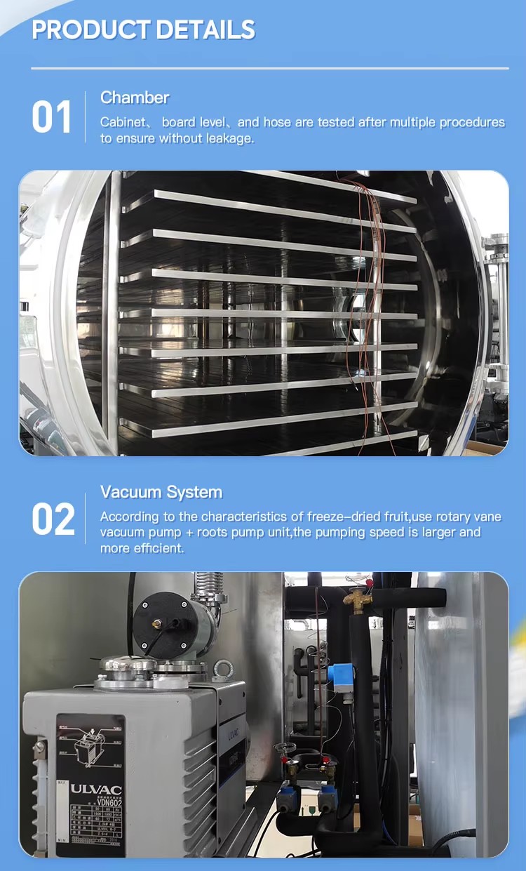 Lyophilization Equipment Freeze Drying Lyophilizer Machine Industrial Fruit Food Vacuum Freeze Dryer