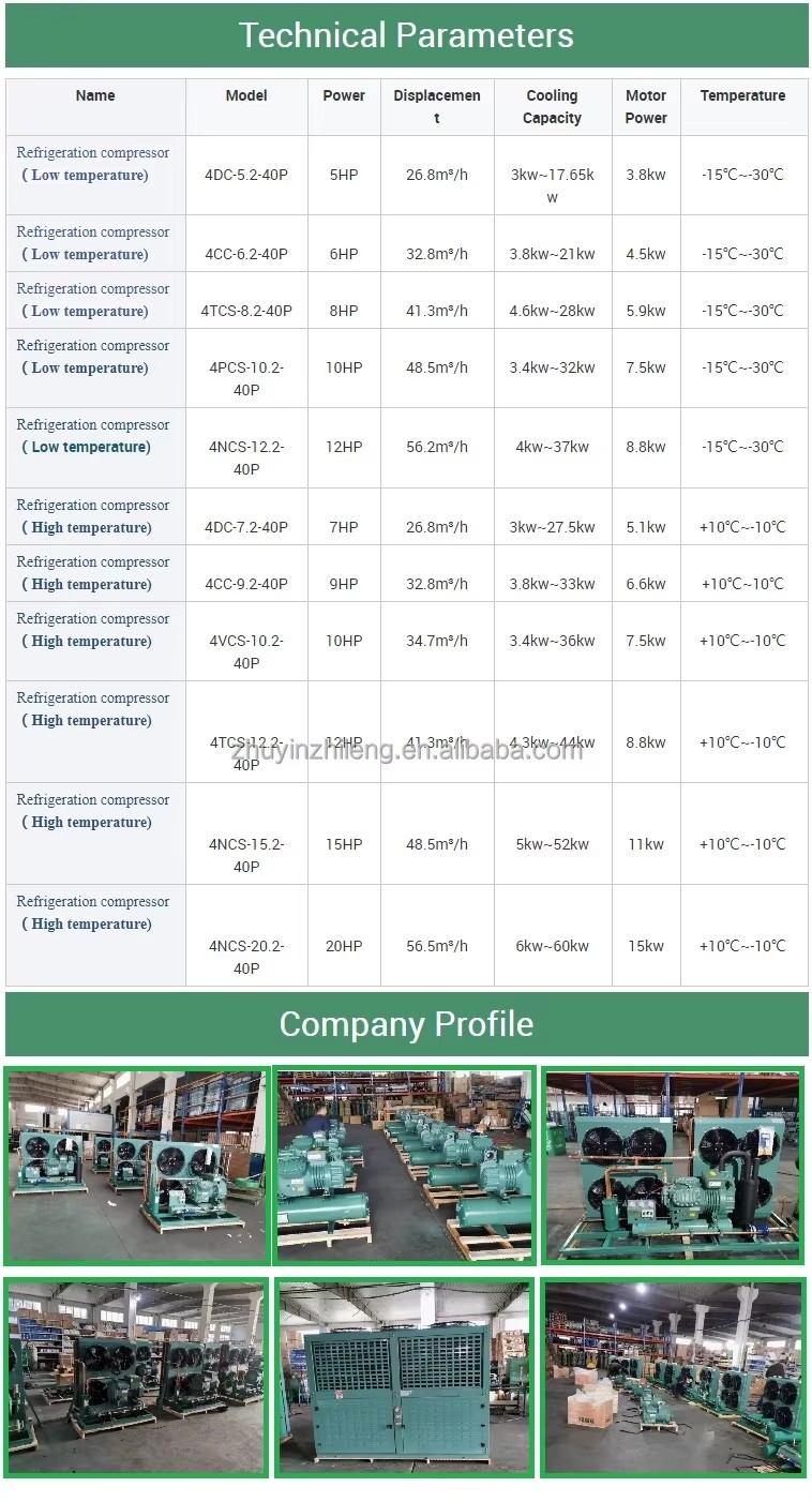 Energy Saving Air Cooled Condensing Unit for Refrigeration with Semi-hermetic Piston Compressor Copper Pipe Condenser Pump Motor
