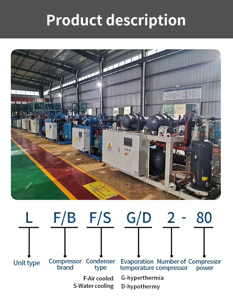 Screw Compressor Refrigeration Equipment Condensing Unit 50HP 60HP 70HP 75HP 100HP 125HP 160HP for Large Cold Chain Project