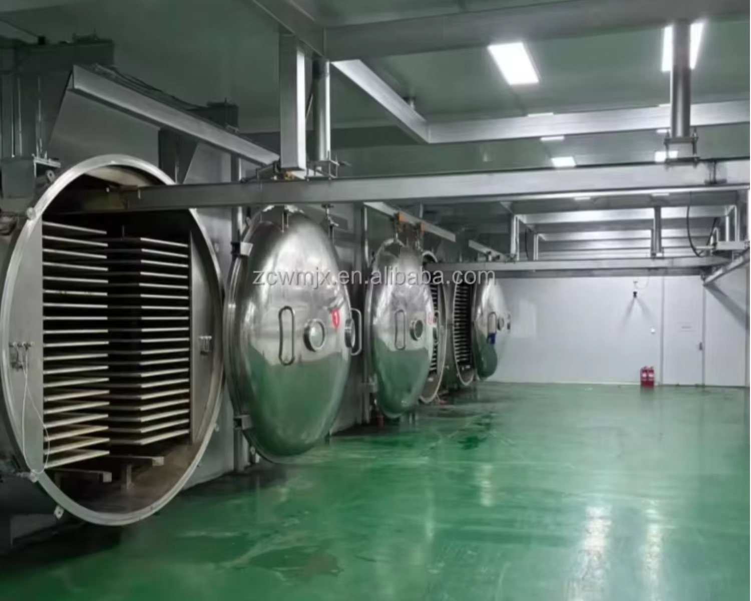 Industrial Food Grade Multiple Capacity PLC Control Vacuum Freeze Dryer for Food Fruit Vegetable Pet Food