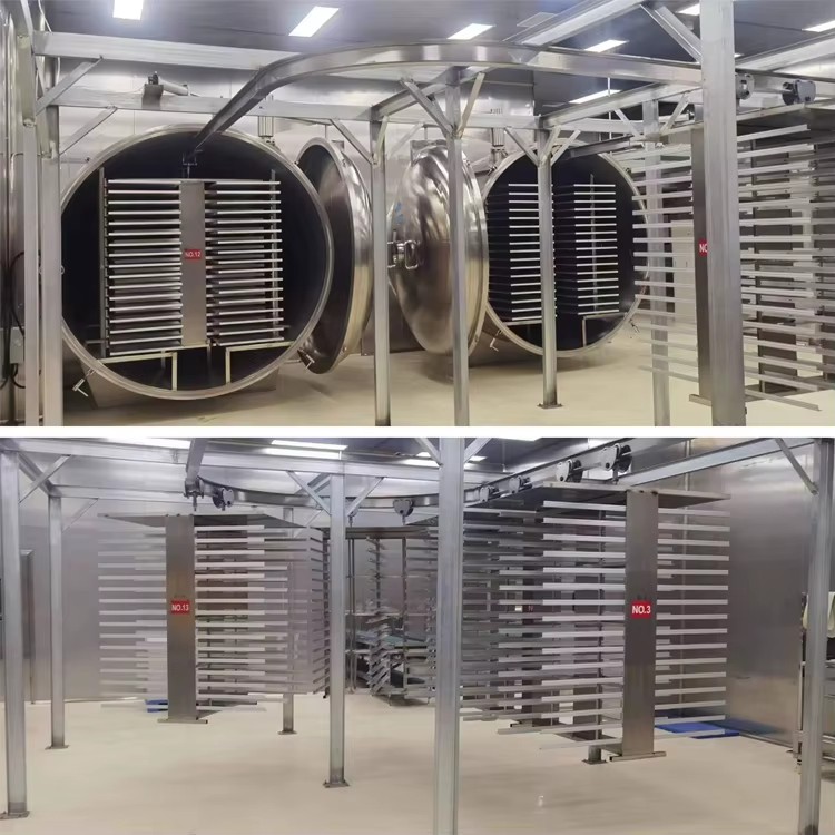 Laboratory Freeze Dryer for Beauty Products & Food Processing Automatic Lyophilizer Machine SUS304 Stainless Steel Energy Saving