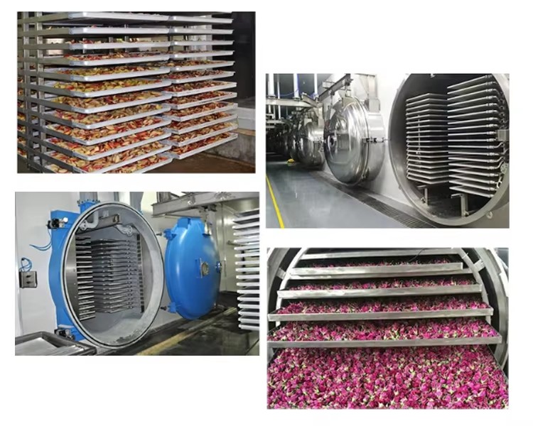 Laboratory Freeze Dryer for Beauty Products & Food Processing Automatic Lyophilizer Machine SUS304 Stainless Steel Energy Saving