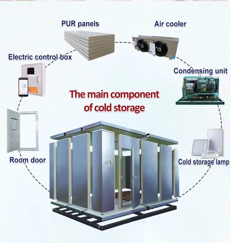 Refrigeration Supplier 1,500-ton Capacity Commercial Industrial Energy Saving Compressor Cold Storage for Food Preservation