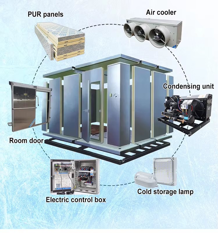 Low Price Energy Saving Hitachi Compressor Container Banana Chamber Ripening 10 Tons Cold Storage