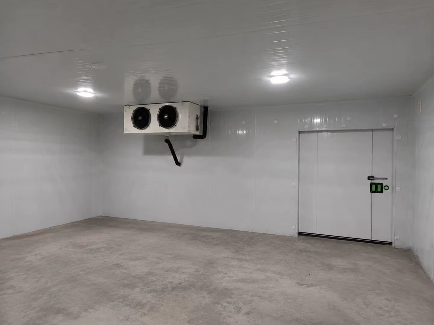 Custom Blast Freezing Cold Storage Room Branded Compressor for Seafood Meat Rapid Freezing Storage