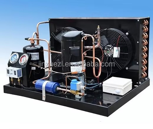 Free-Standing Air Cooled Condensing Unit Copeland Scroll Compressor Motor Energy Saving 1 Year Warranty Manufacturing Plant