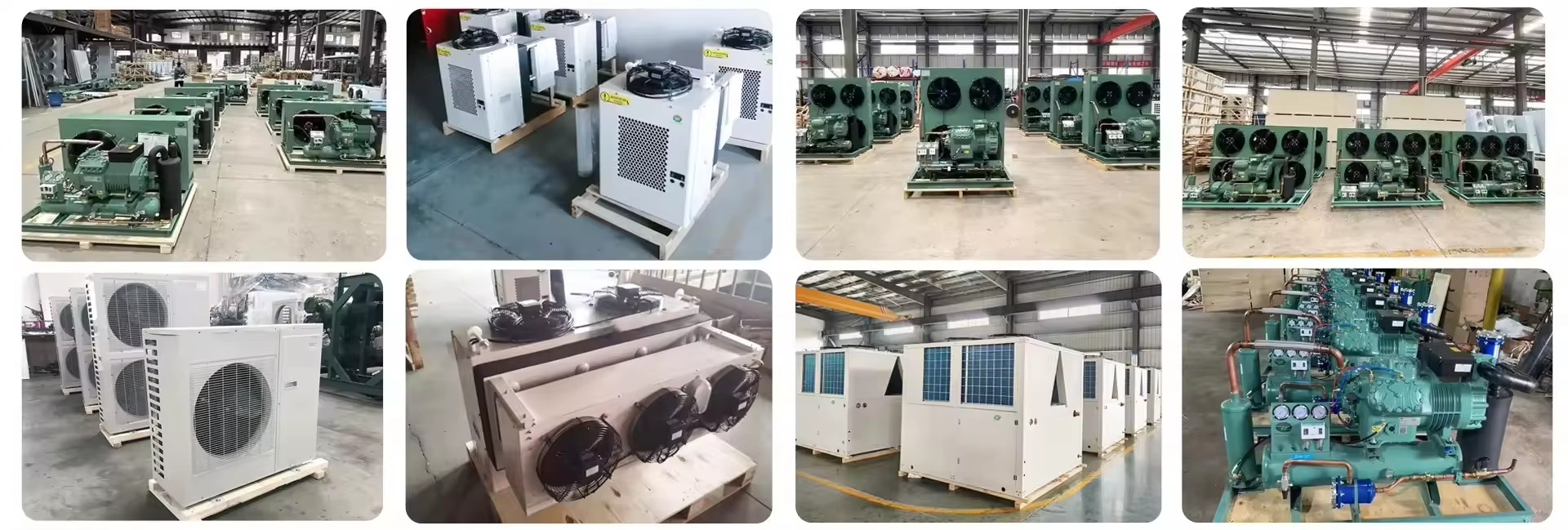 Easy Installation Medium Size Cool Freezing Refrigeration Cold Storage Equipment Vegetables Cold Storage Room