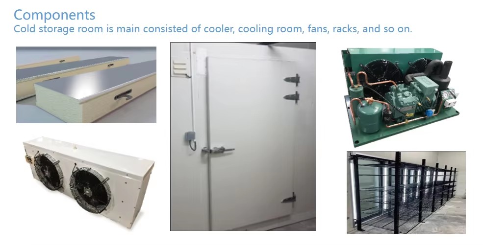 Long Working Life Cooling Storage Room for Fruits Vegetables Cold Storage Room Seafood Refrigeration Storage Equipment