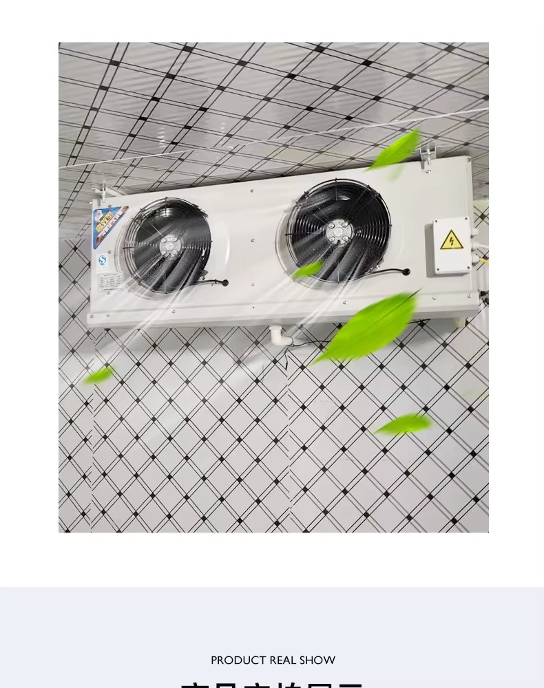 Retrofit-style Solar Container Cold Storage Complete Equipment Compressor Energy-saving Beverage Floral Fruit Preservation