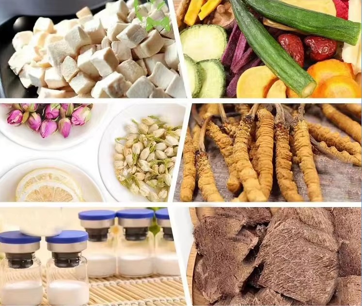 Best Quality 6kg Freeze Dryer Food Drying Lyophilizer Machine Price for Home With Oil Free Vacuum Pump Instock