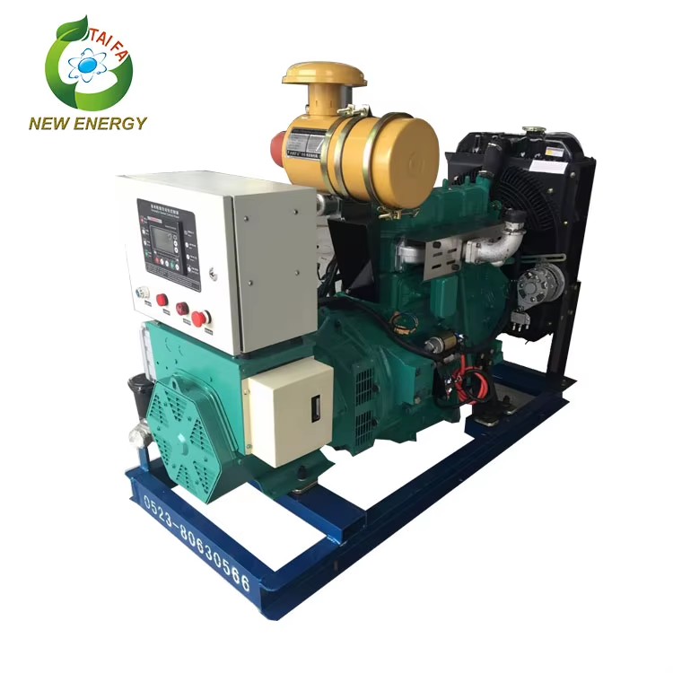 Small Biomass Power Electricity Generator Straw Gas Generator