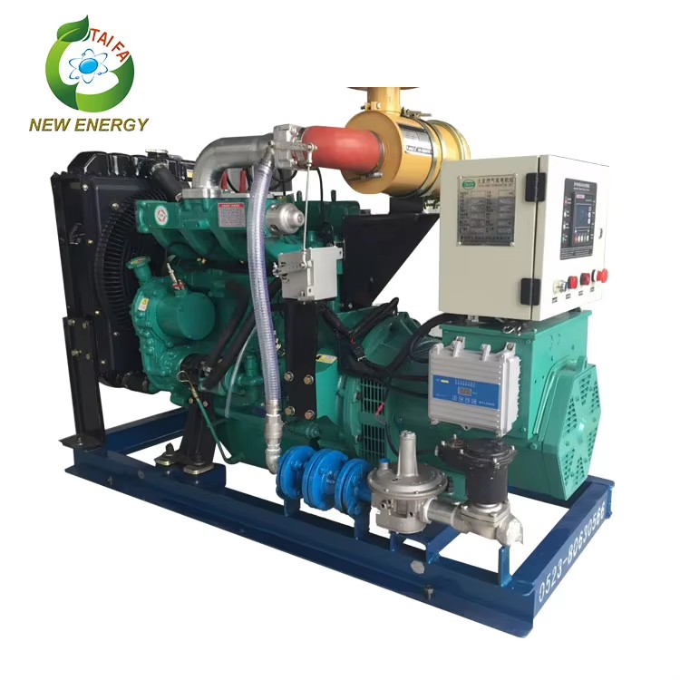 Small Biomass Power Electricity Generator Straw Gas Generator