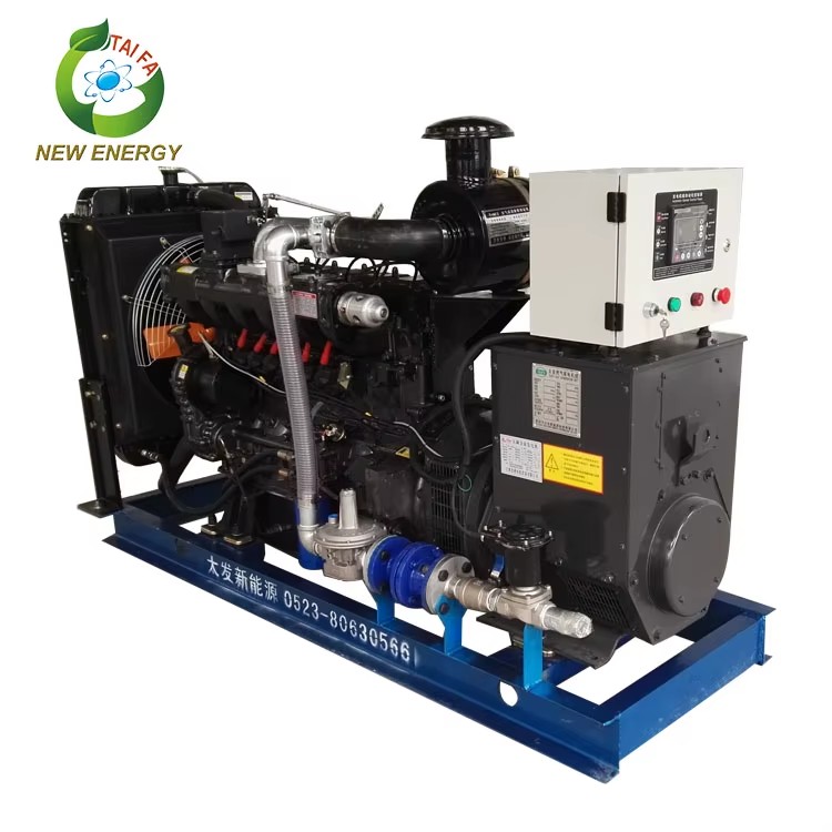 Small Biomass Power Electricity Generator Straw Gas Generator