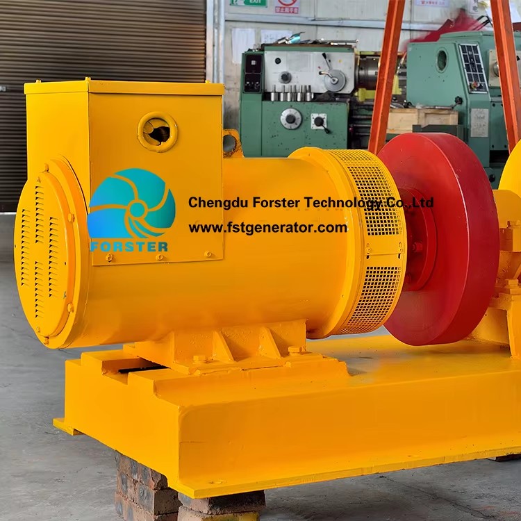 Free Electricity Home Pelton Water Turbine 20KW Hydroelectric Equipment Generator with Stainless Steel Blades and 40V Output