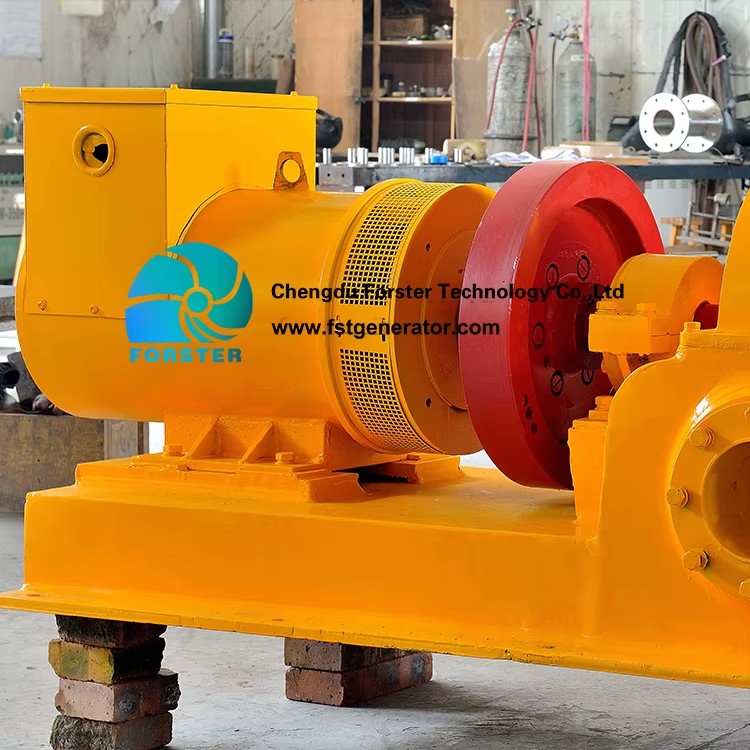 Free Electricity Home Pelton Water Turbine 20KW Hydroelectric Equipment Generator with Stainless Steel Blades and 40V Output