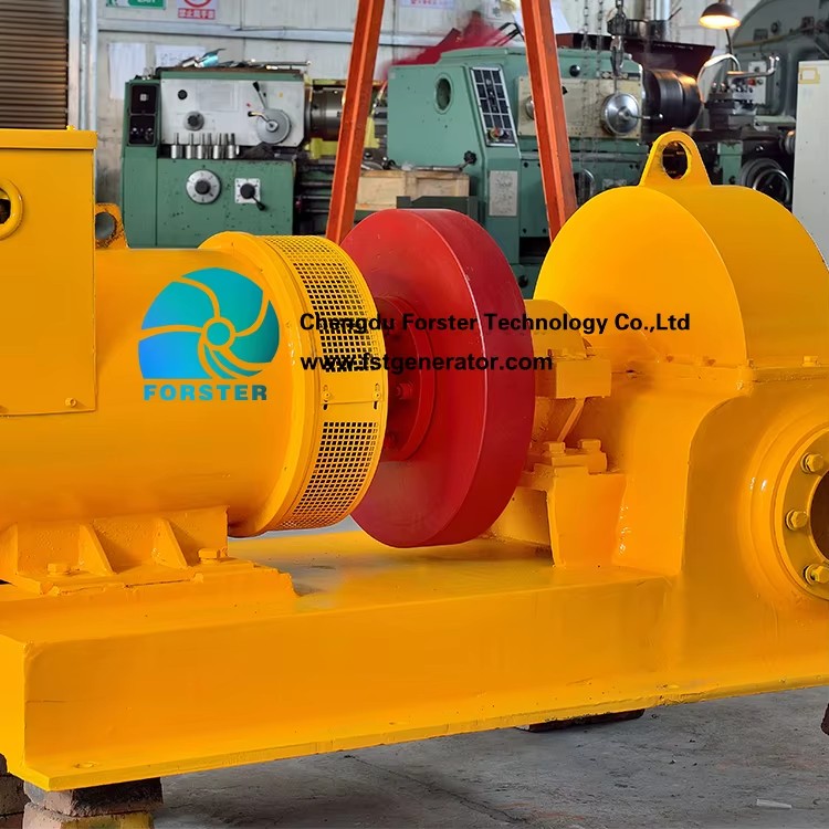 Free Electricity Home Pelton Water Turbine 20KW Hydroelectric Equipment Generator with Stainless Steel Blades and 40V Output