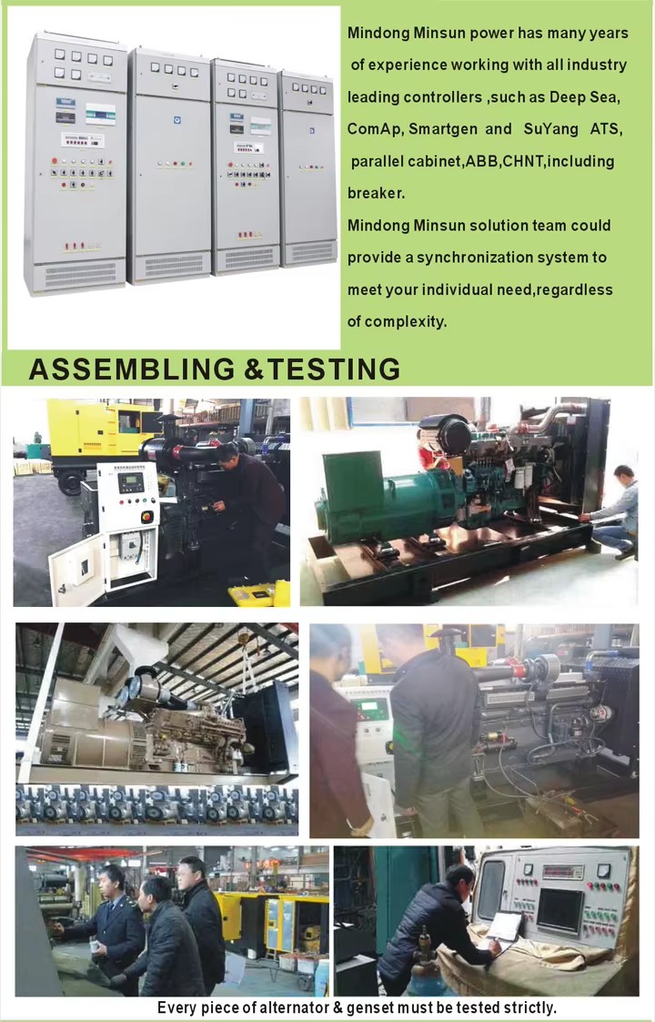 Small diesel Electricity Generator for Home Use