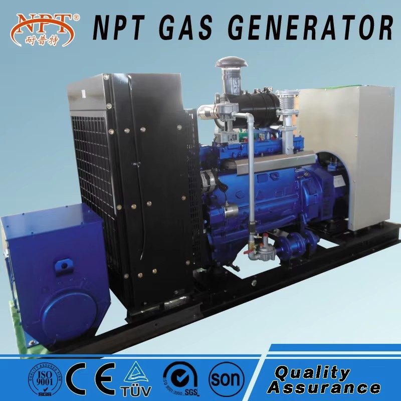 Biogas Plant to Generate Electricity with CE