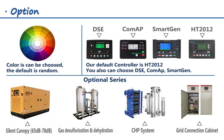 Biomass Electricity Generation 10kw-500kw Syngs Chp Landfill Gas Coal Power Generator Set
