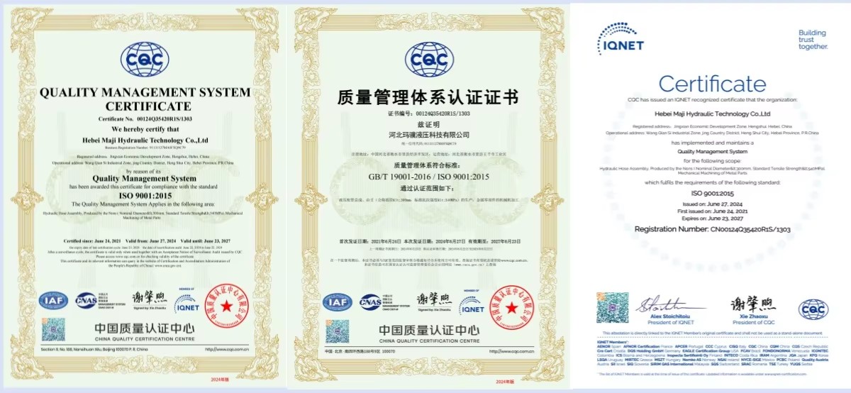 High-pressure Union-Specific Sealing Ring for Drilling Platform Pipeline API 7HU2 Brand Hammer Joint Application 1 Year