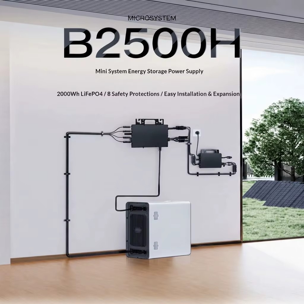 Mini 1000W Monocrystalline Silicon Solar Power System with Lead Acid Battery Storage for Balcony Inverter Plug Play Installation
